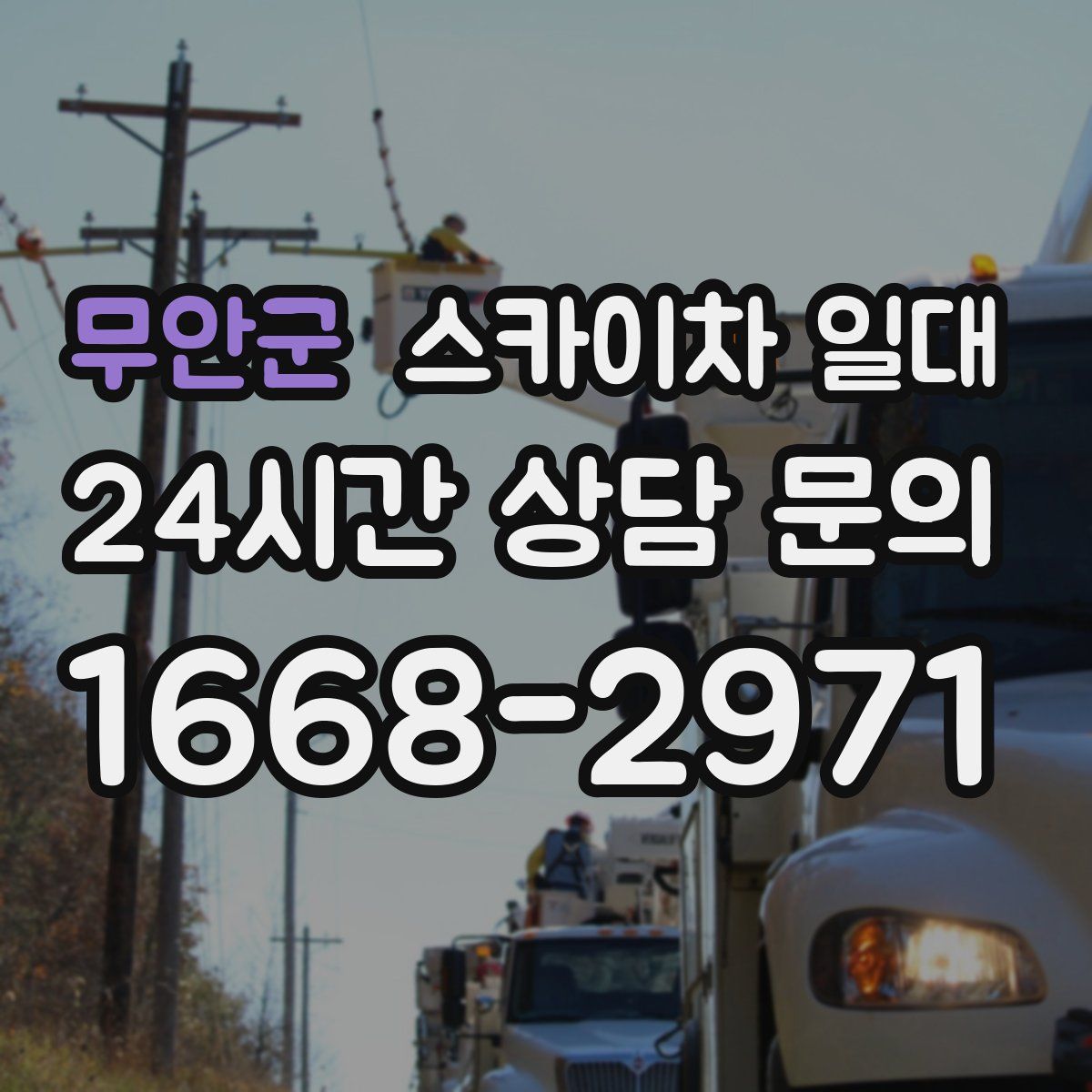 무안군 스카이차 일대