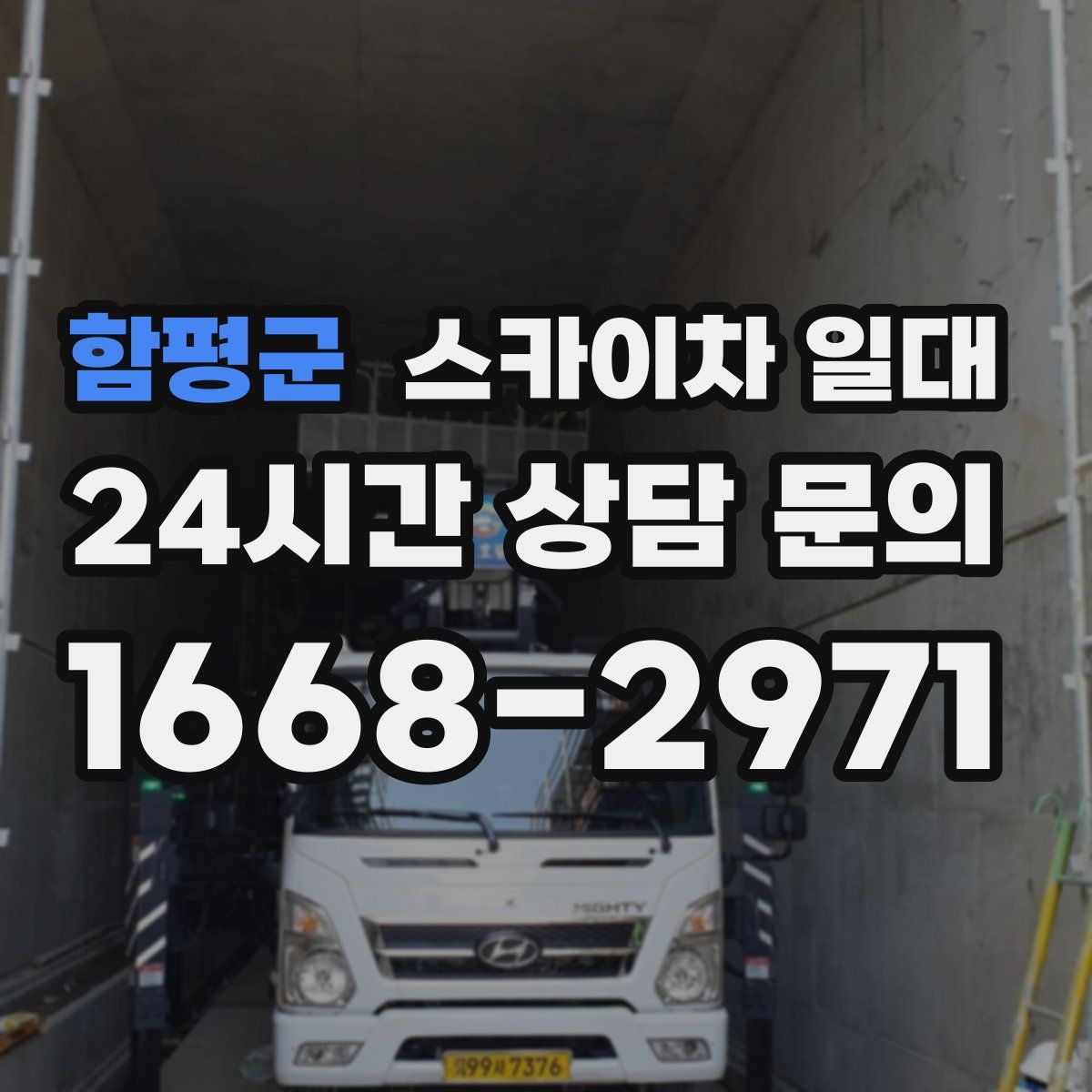 함평군 스카이차 일대