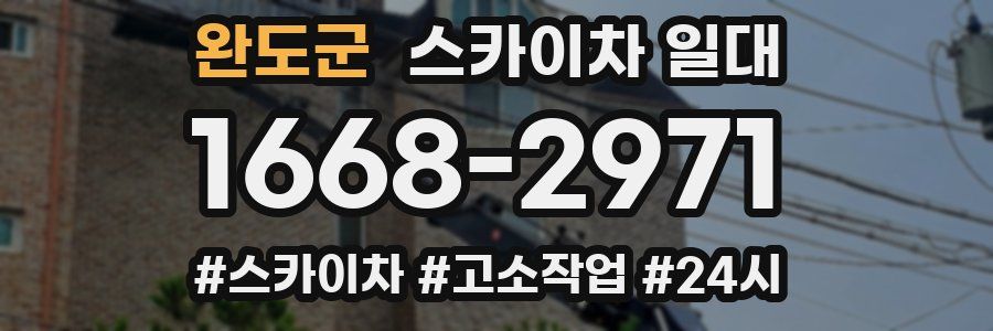 완도군 스카이차 일대