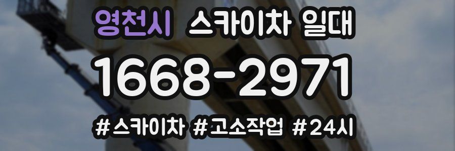 영천시 스카이차 일대