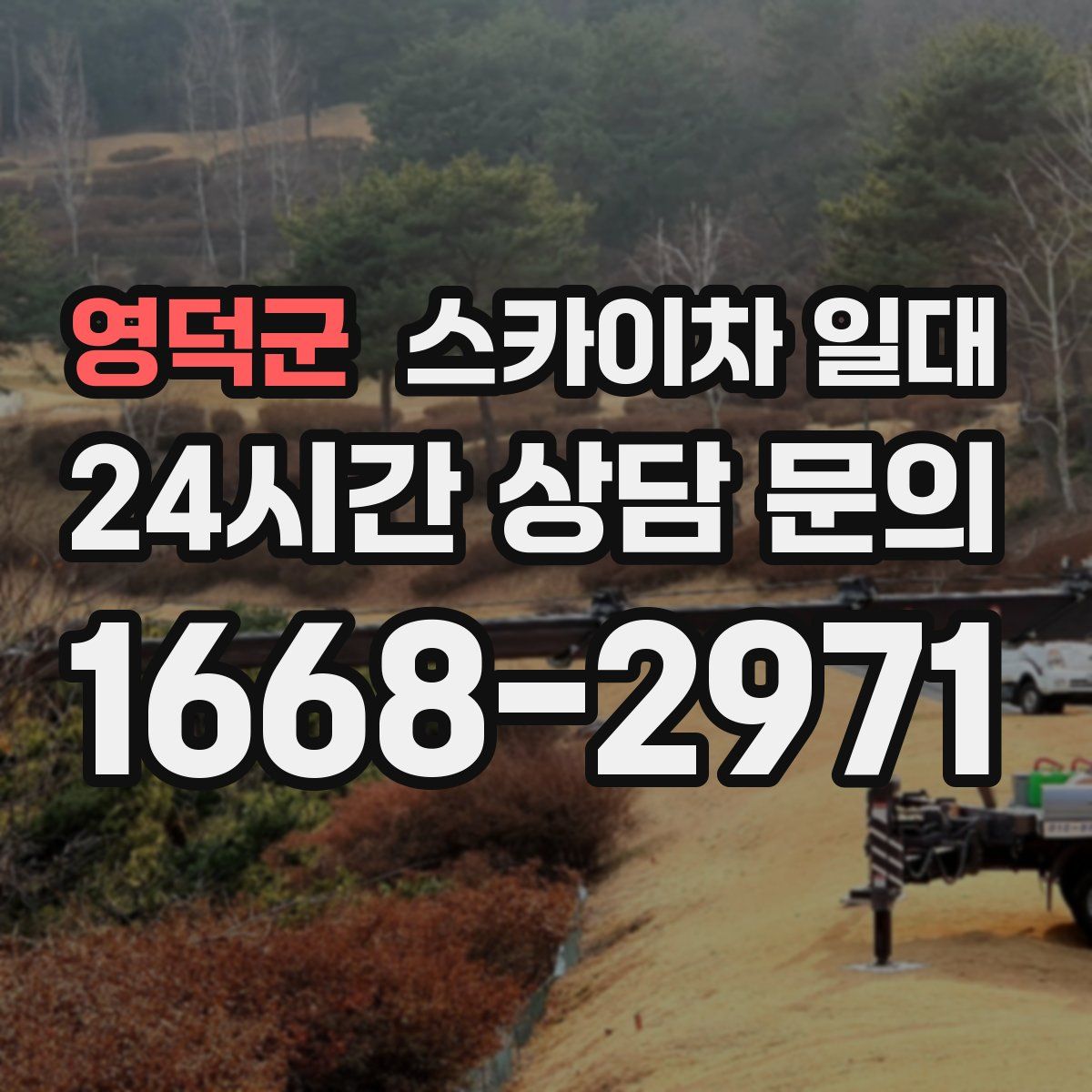 영덕군 스카이차 일대
