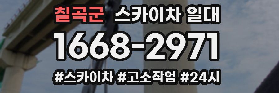 칠곡군 스카이차 일대