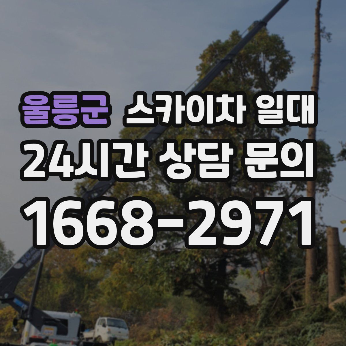 울릉군 스카이차 일대
