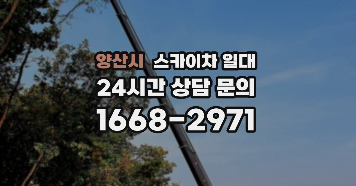 양산시 스카이차 일대