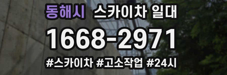동해시 스카이차 일대