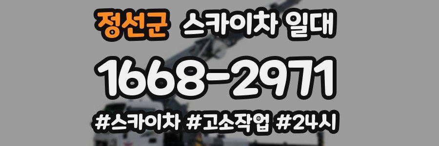 정선군 스카이차 일대