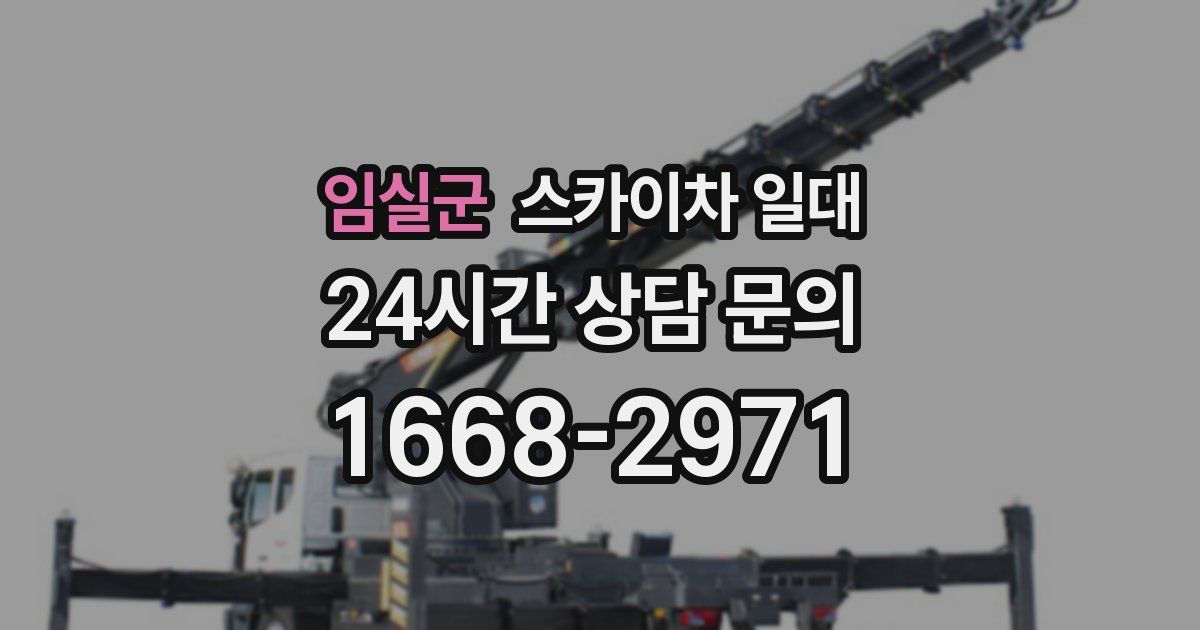임실군 스카이차 일대
