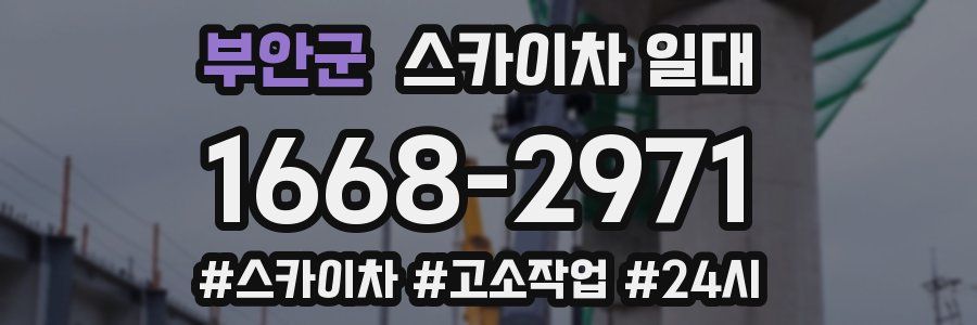 부안군 스카이차 일대