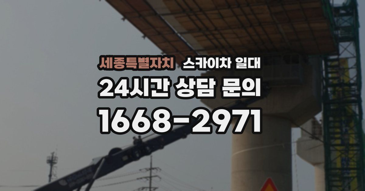 세종특별자치 스카이차 일대