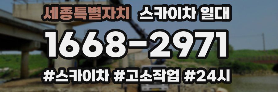 세종특별자치 스카이차 일대