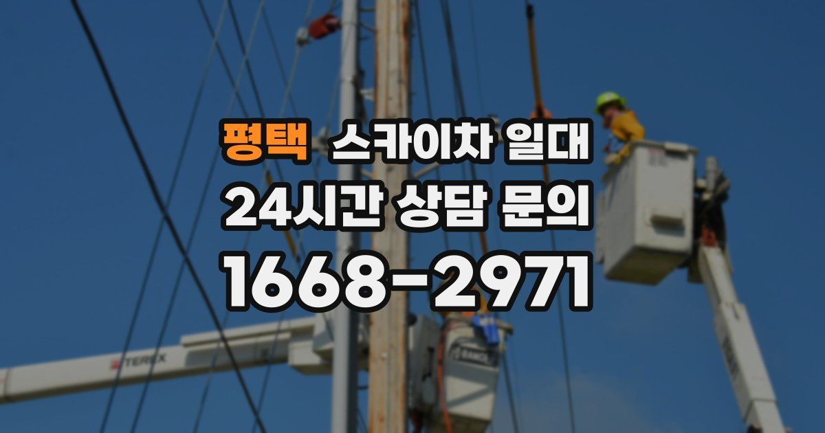 평택 스카이차 일대