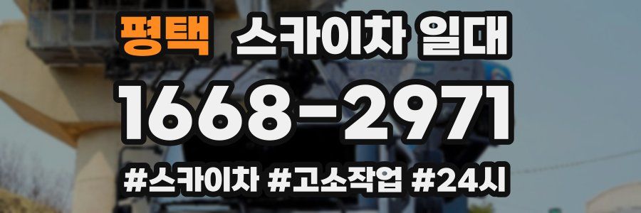 평택 스카이차 일대