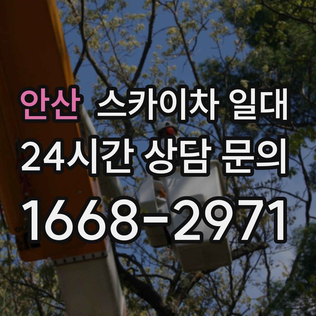 안산 스카이차 일대