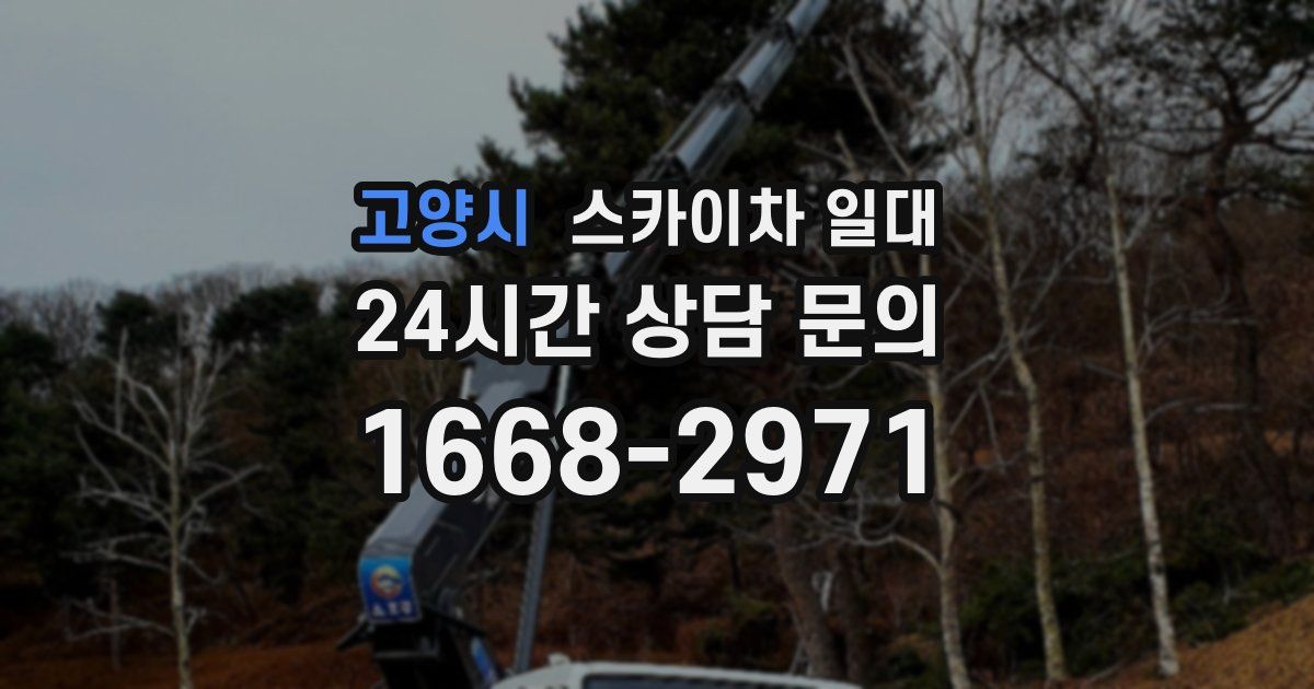 고양시 스카이차 일대