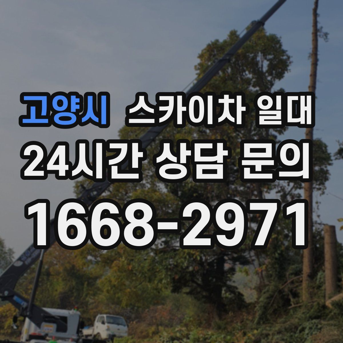 고양시 스카이차 일대