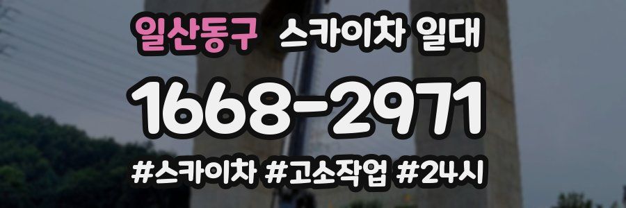 일산동구 스카이차 일대