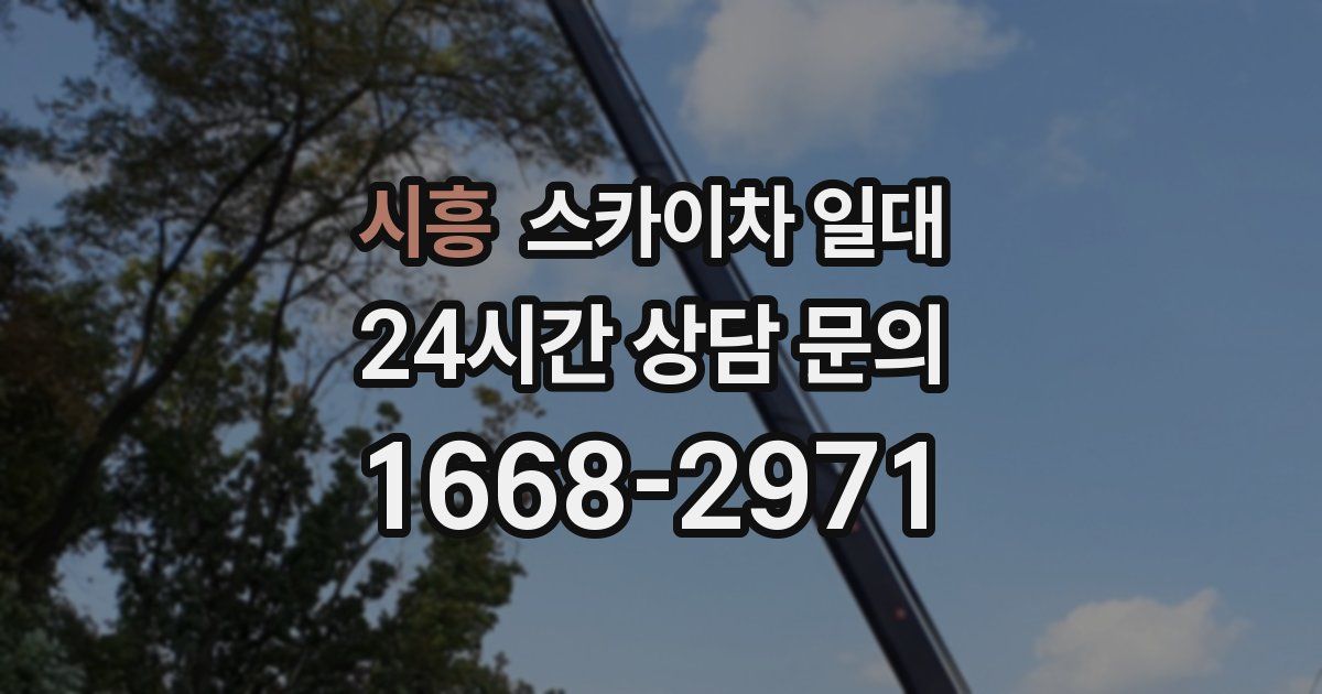 시흥 스카이차 일대