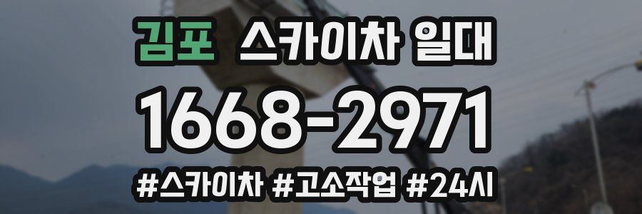김포 스카이차 일대