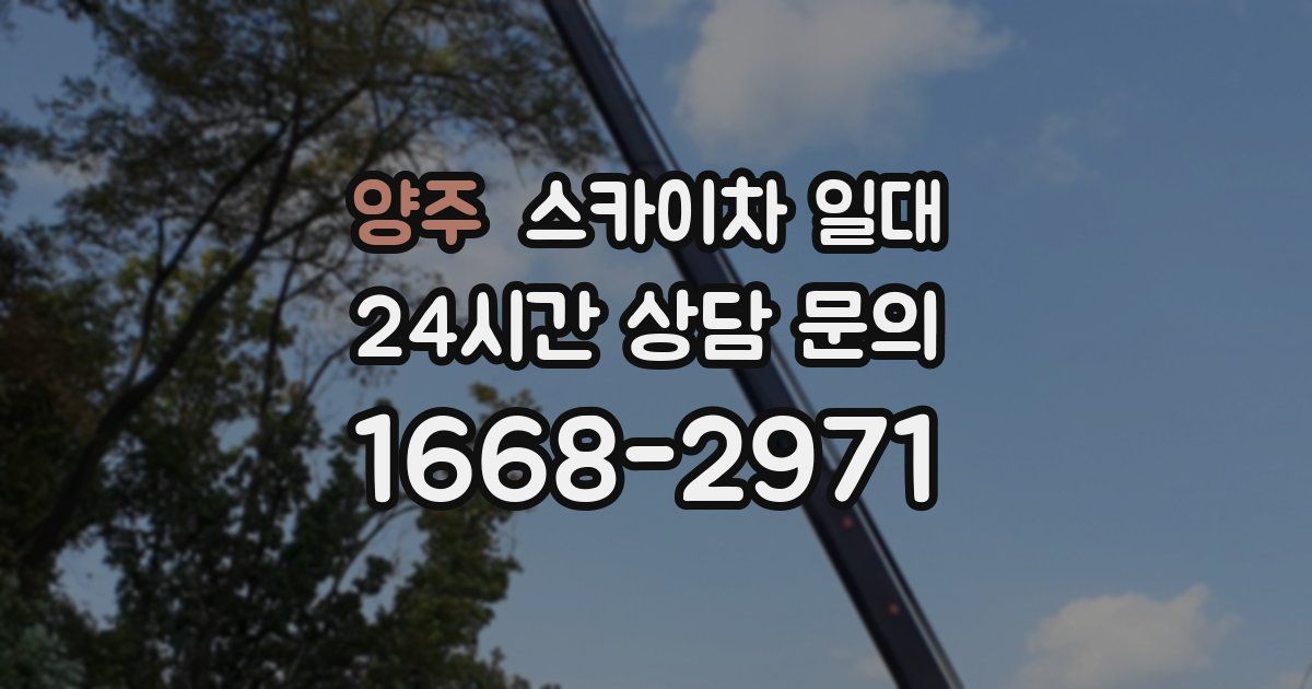 양주 스카이차 일대