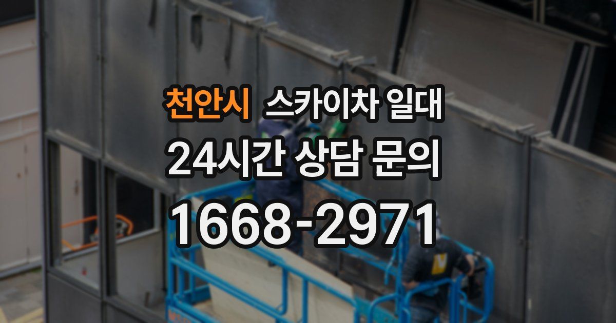 천안시 스카이차 일대