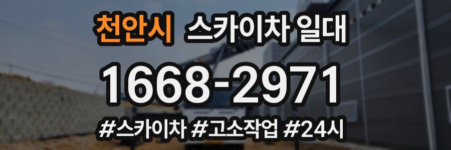 천안시 스카이차 일대