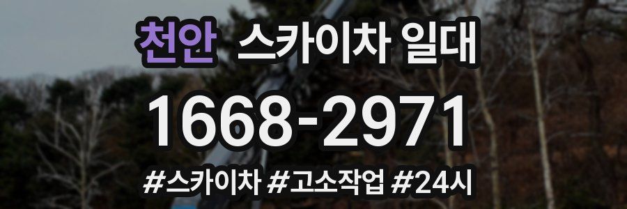 천안 스카이차 일대