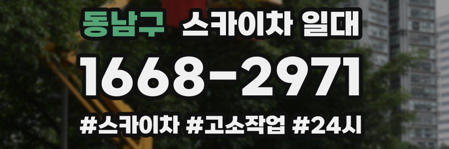 동남구 스카이차 일대