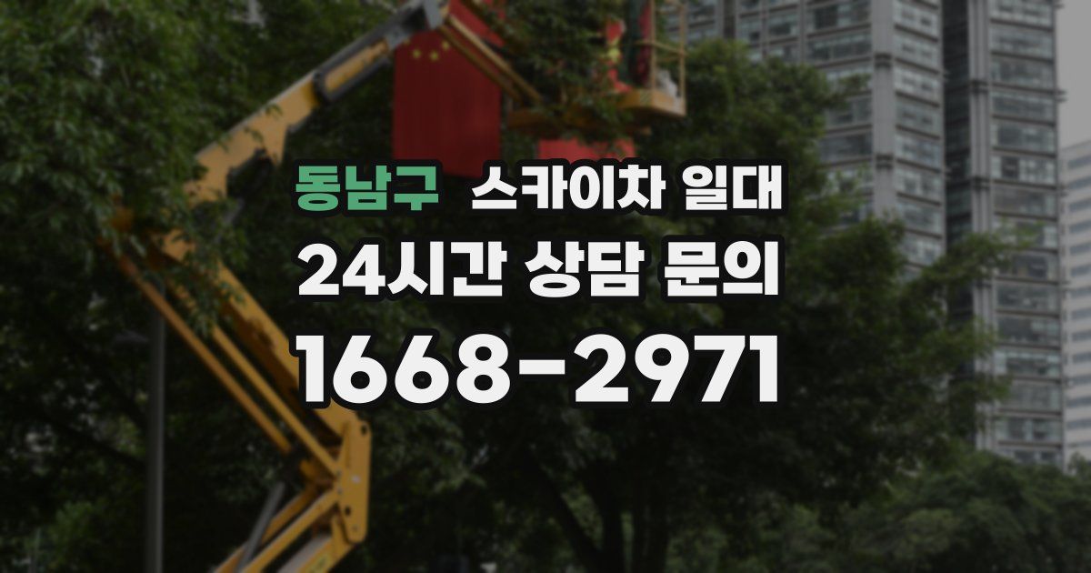 동남구 스카이차 일대