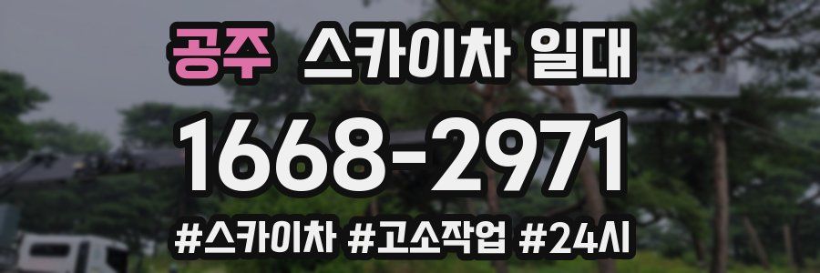공주 스카이차 일대