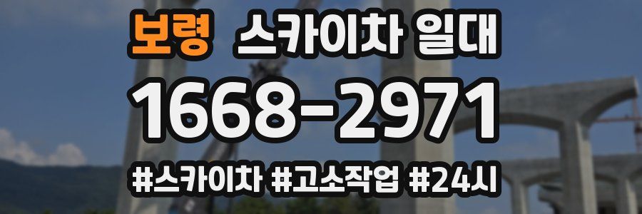 보령 스카이차 일대