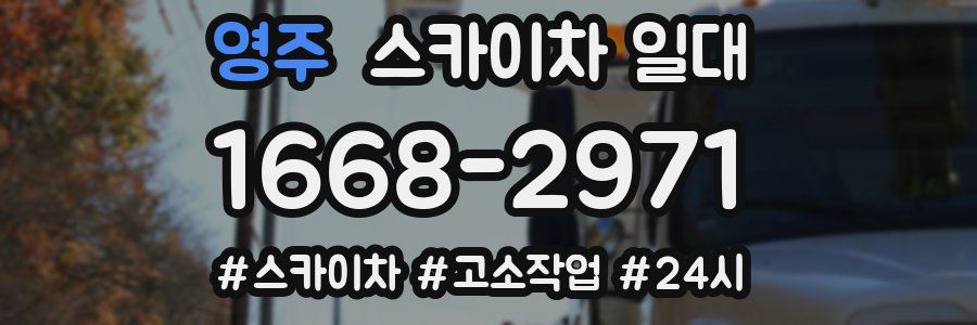 영주 스카이차 일대