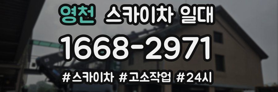 영천 스카이차 일대