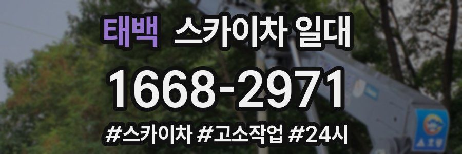 태백 스카이차 일대