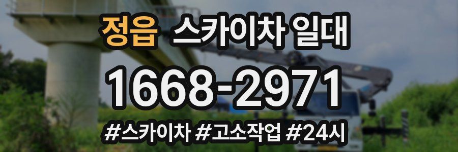 정읍 스카이차 일대