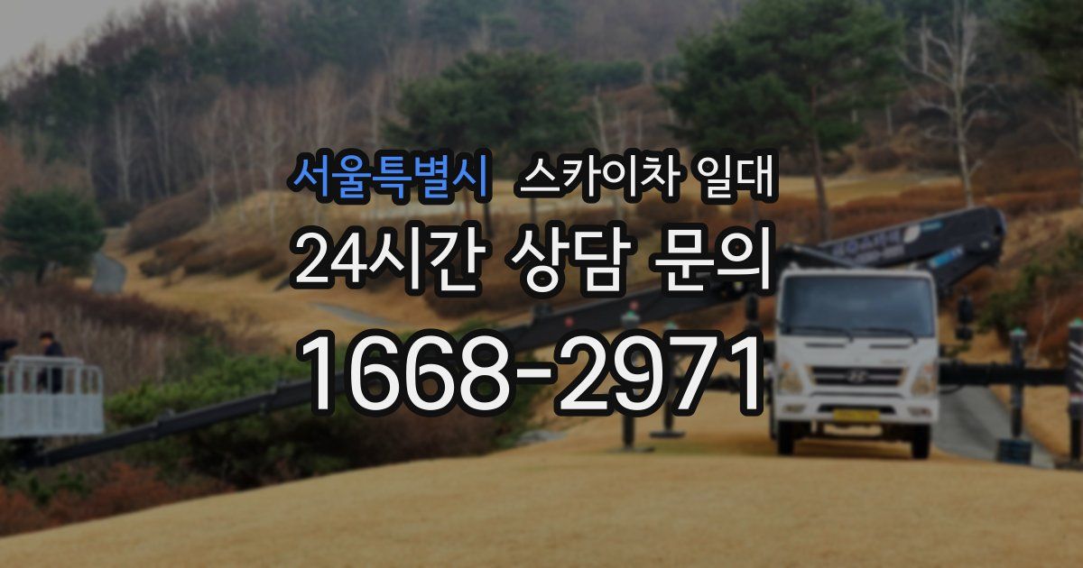 서울특별시 스카이차 일대