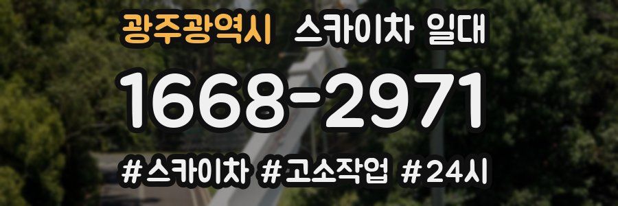 광주광역시 스카이차 일대