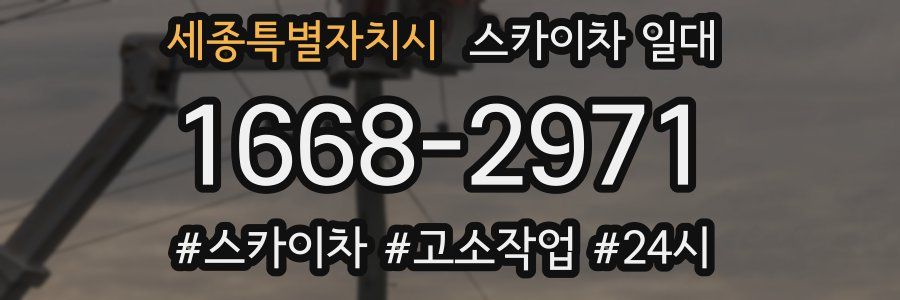 세종특별자치시 스카이차 일대