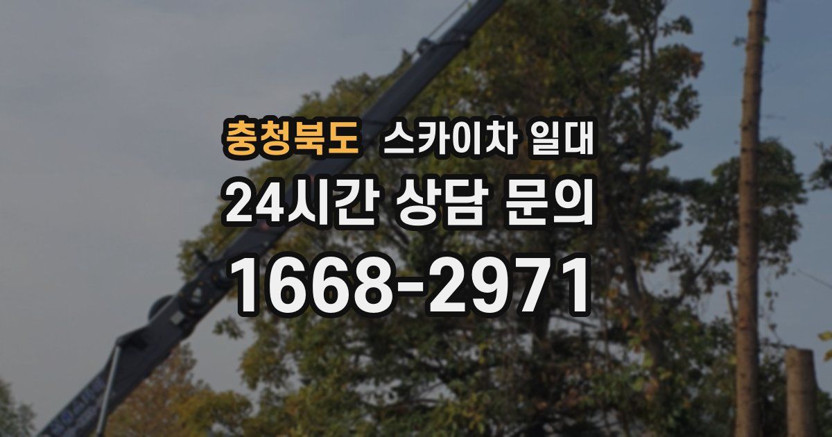 충청북도 스카이차 일대