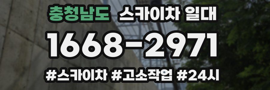 충청남도 스카이차 일대