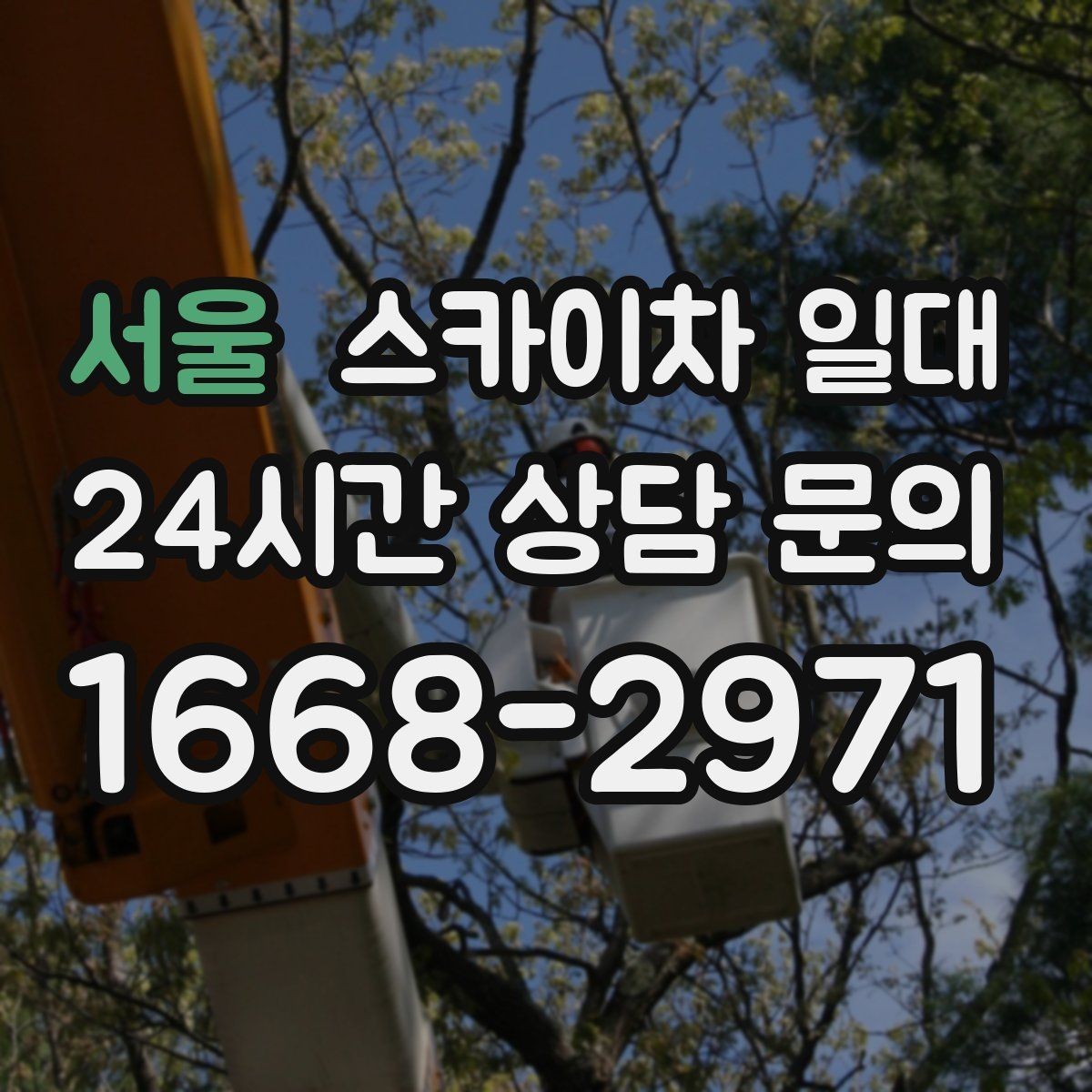 서울 스카이차 일대 작업 목적별 장비 고르기