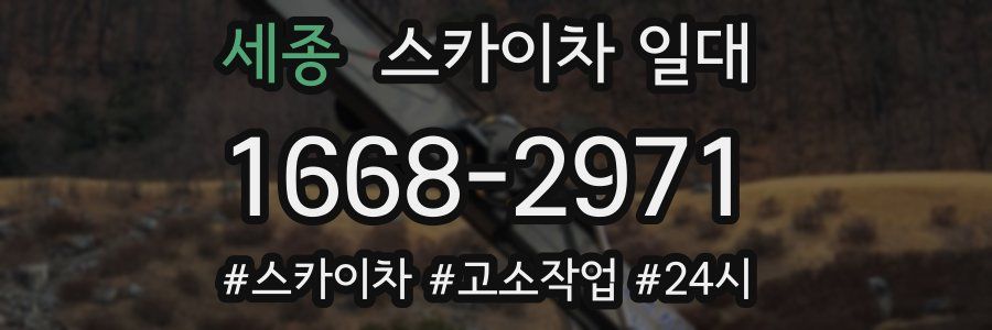 세종 스카이차 일대
