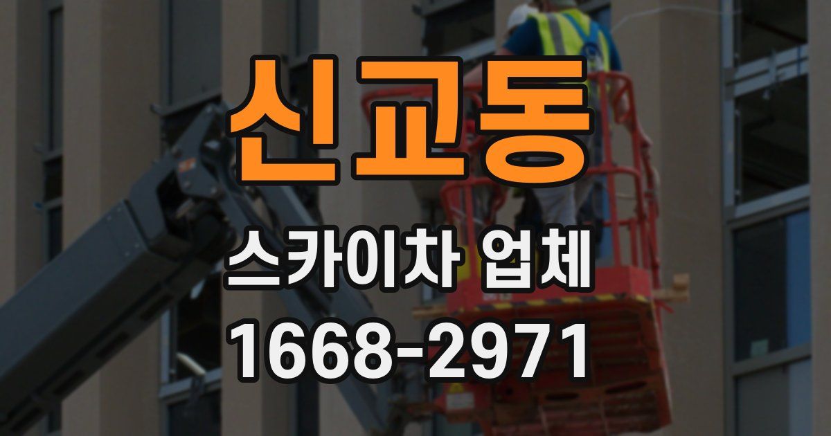 신교동 스카이차 업체