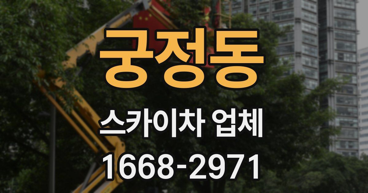 궁정동 스카이차 업체