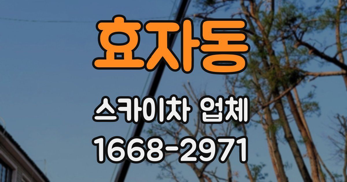 효자동 스카이차 업체