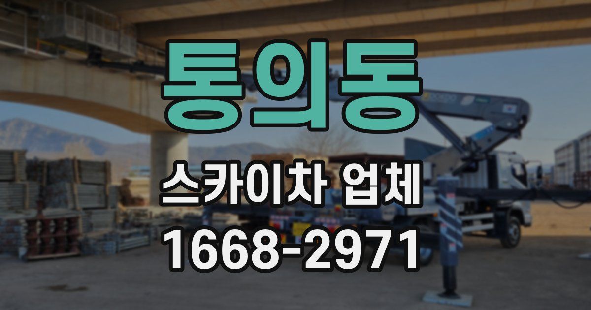 통의동 스카이차 업체