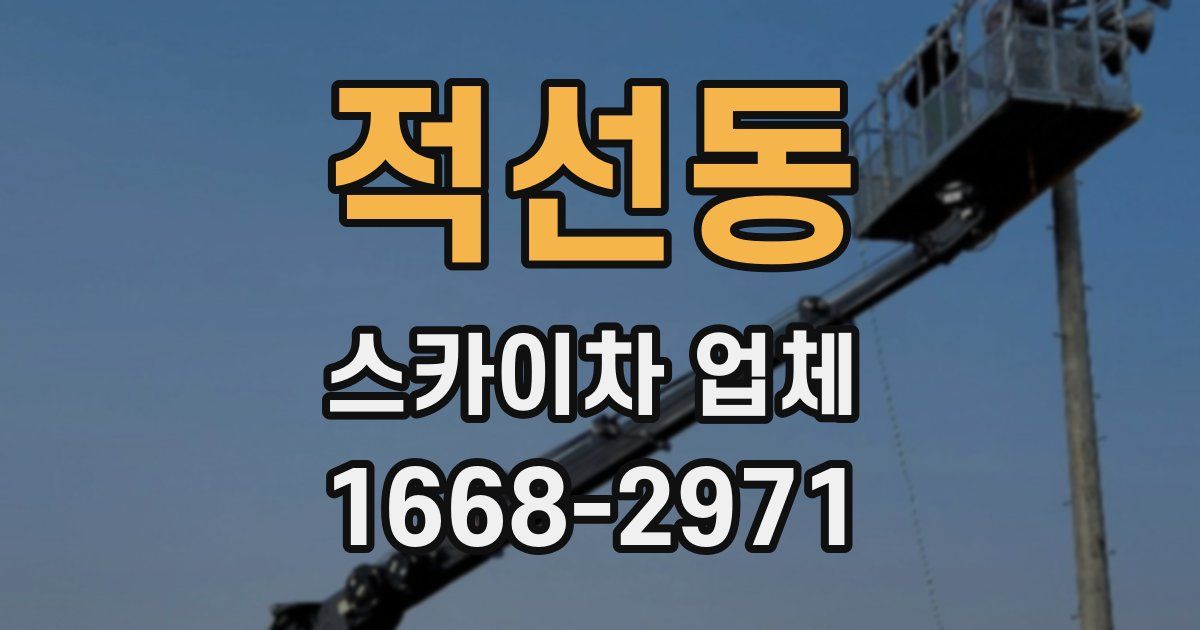 적선동 스카이차 업체