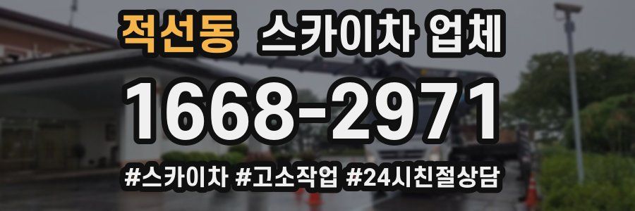 적선동 스카이차 업체