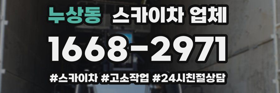 누상동 스카이차 업체