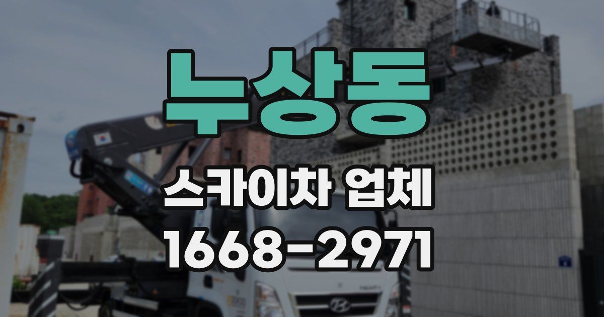 누상동 스카이차 업체