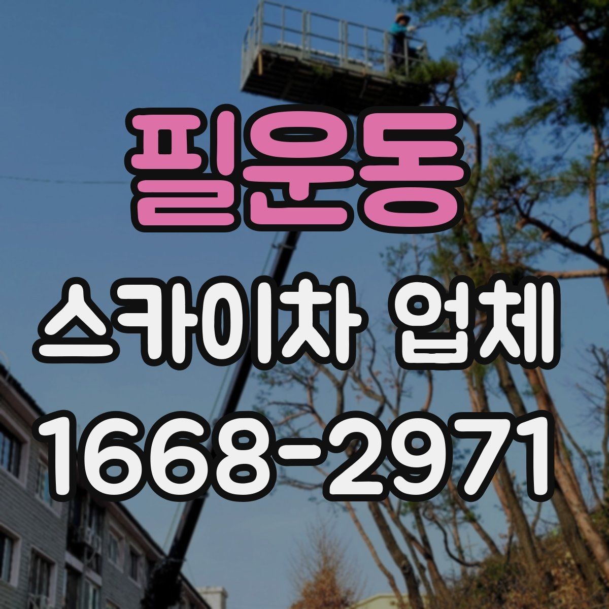 필운동 스카이차 업체 활용 전 체크해야 할 기본 조건
